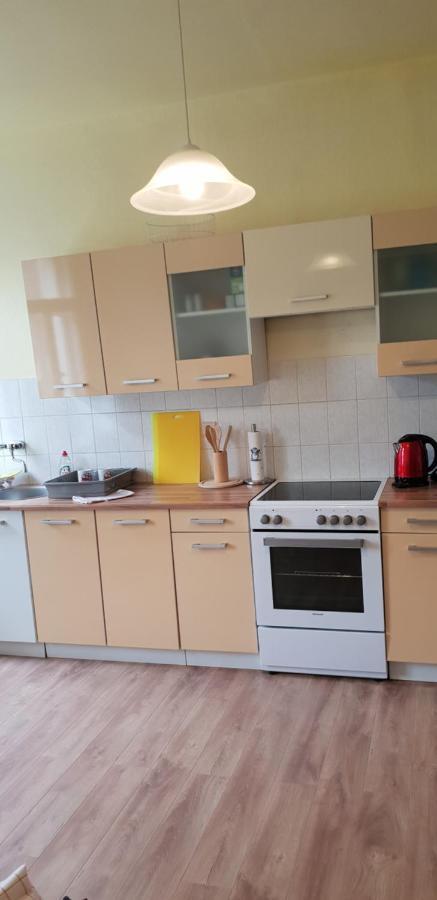 Apartments Wagner Crimmitschau Extérieur photo